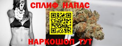 МДПВ Татарск