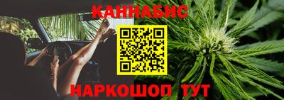 МДПВ Татарск