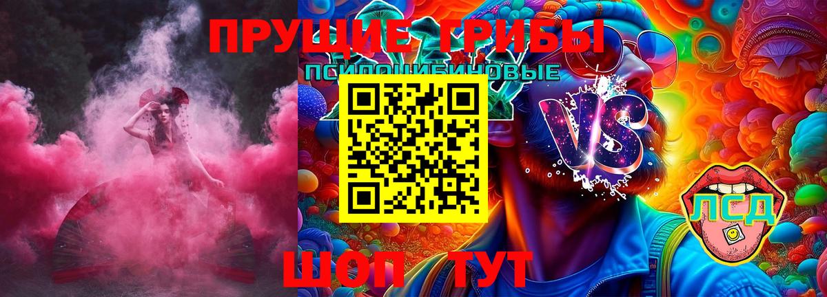 что такое наркотик  Вход с VPN  Новочебоксарск  Псилоцибиновые грибы мицелий 